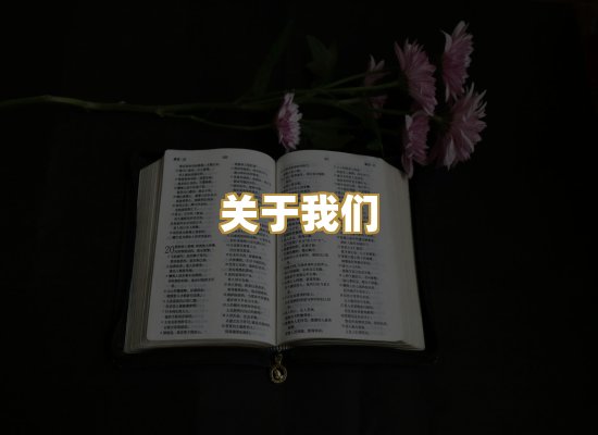 关于我们